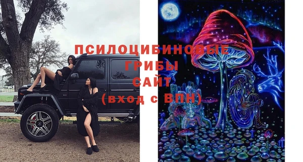 эйфоретик Нефтегорск