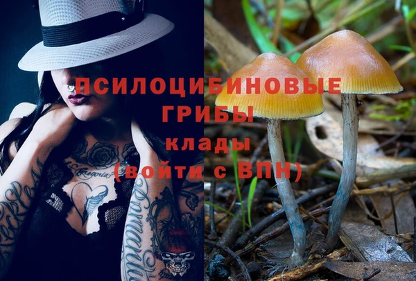 эйфоретик Нефтегорск